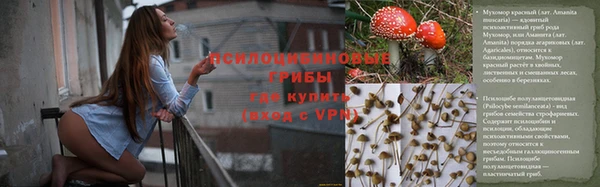 ALPHA PVP Новокубанск