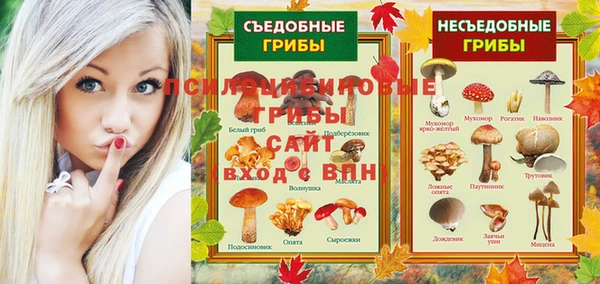 прущая мука Новозыбков