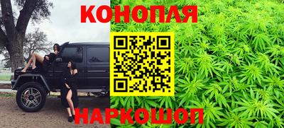 индика Бийск