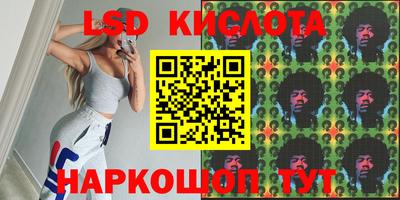 индика Бийск