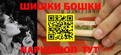 индика Бийск