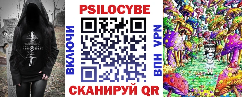 где найти Электрогорск Псилоцибиновые грибы Psilocybine cubensis