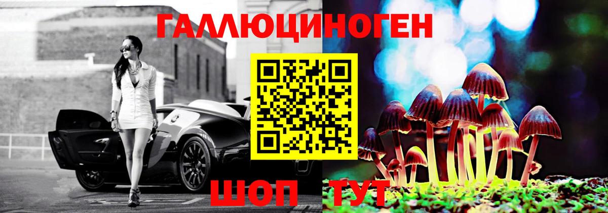 Галлюциногенные грибы мицелий  Вход с VPN  Электрогорск 